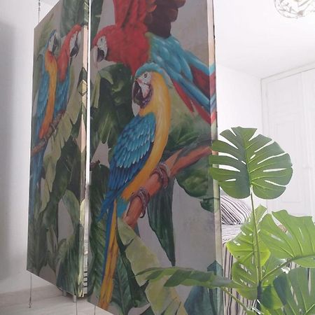 Apartamento Tropical Loft Corralejo Exterior foto